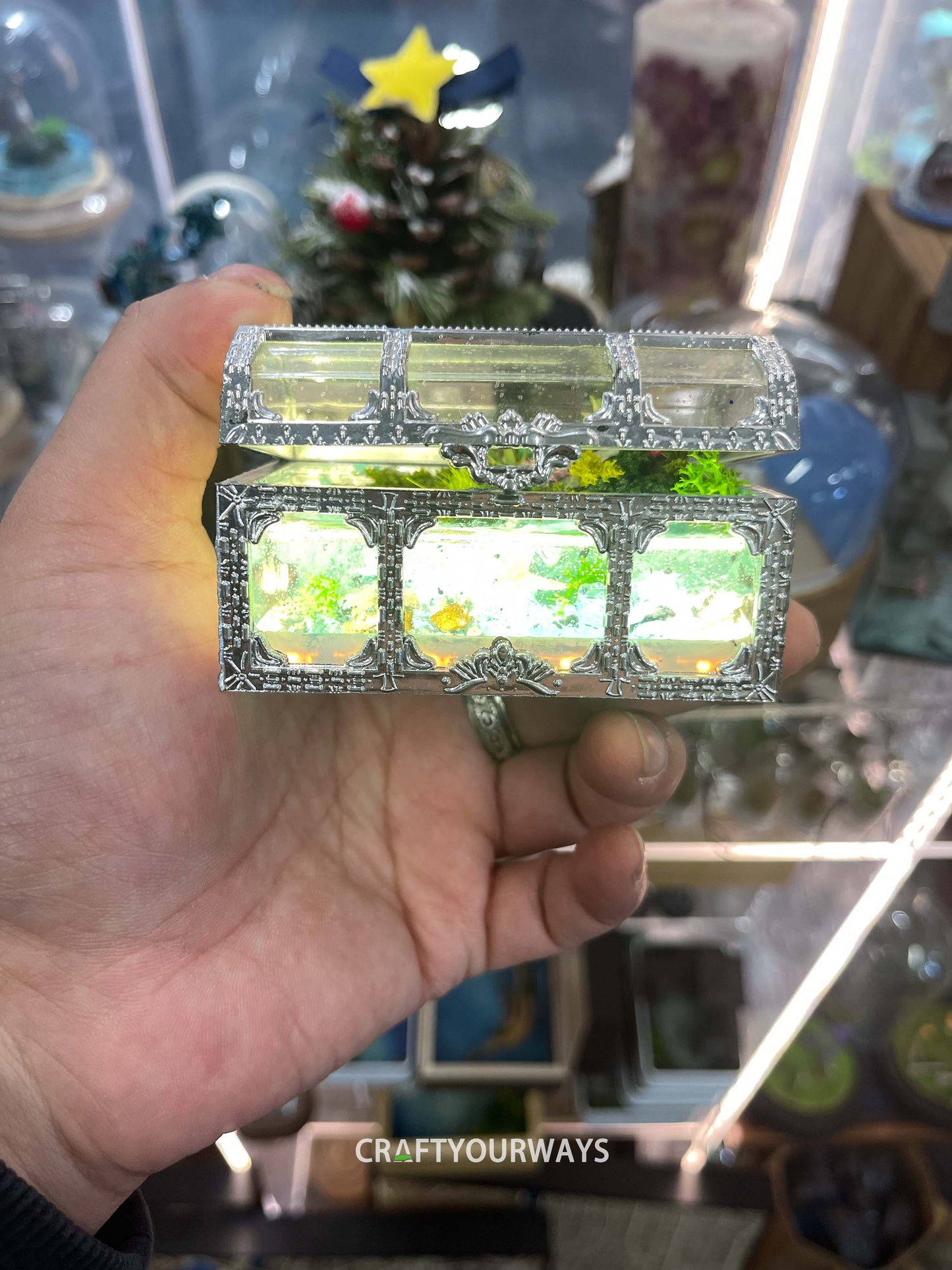 Miniature Ocean Scene with Starfish and Marine Life in Transparent Treasure Box